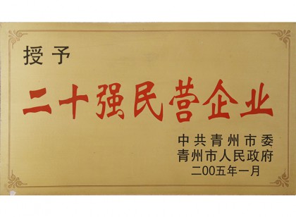 二十強(qiáng)民營(yíng)企業(yè)